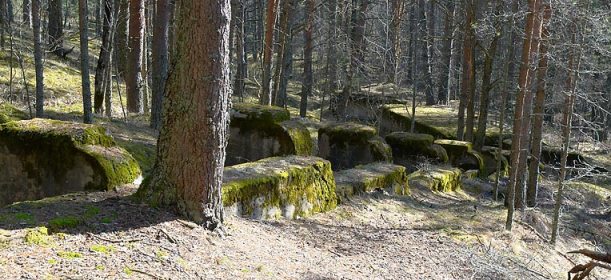 Krasnaya Gorka Fort